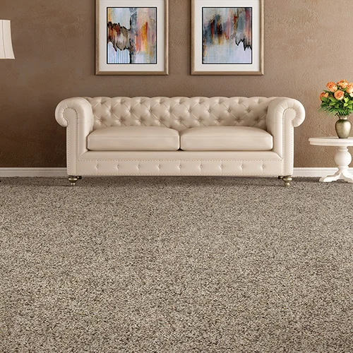 Elkton Carpet & Tile providing stain-resistant pet proof carpet in Elkton, MD