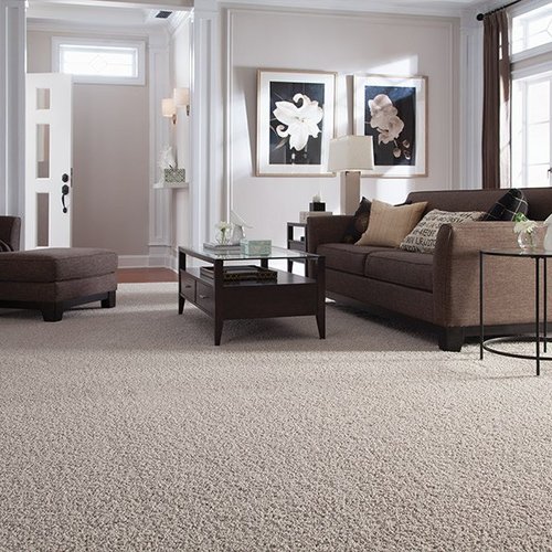 Family friendly carpet in Bear DE from Elkton Carpet & Tile